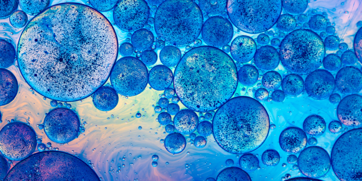 Quercetin & Zinc: The Powerful Duo You Need for Immunity and Beyond