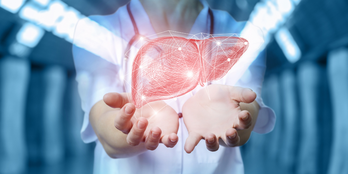 Exploring the Vital Functions of the Liver