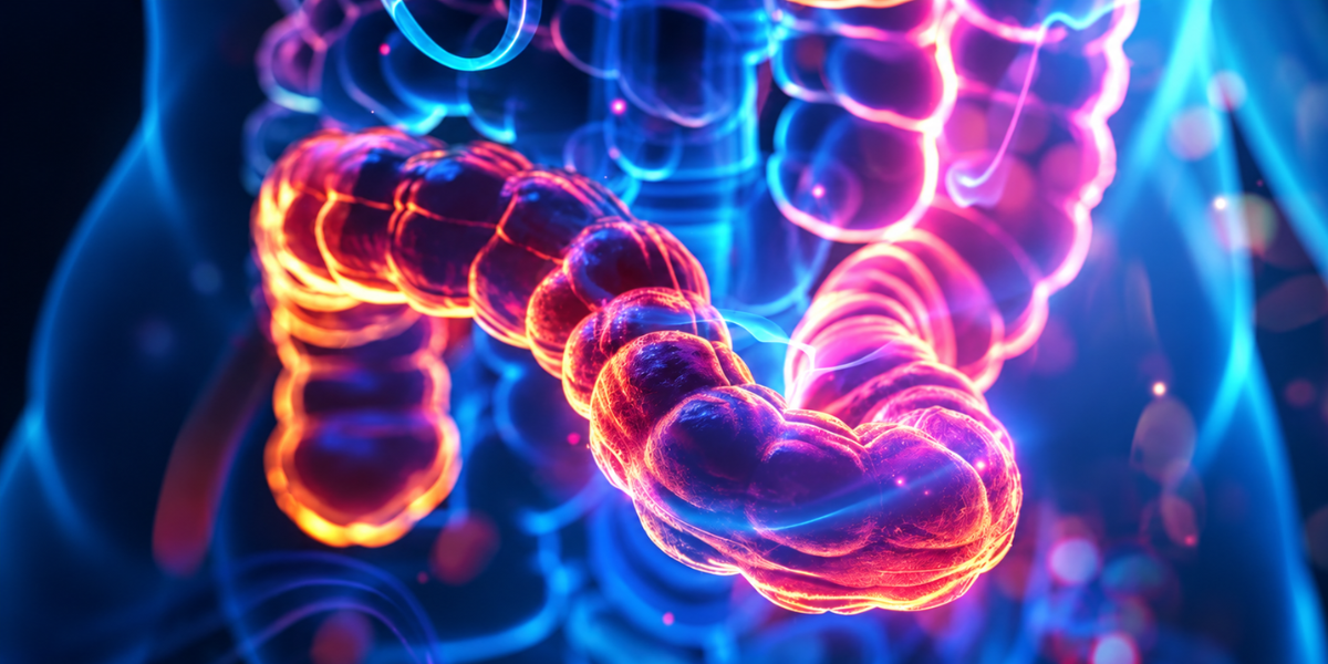 The Magnesium Gut Connection: Digestive Support & Regularity Explained